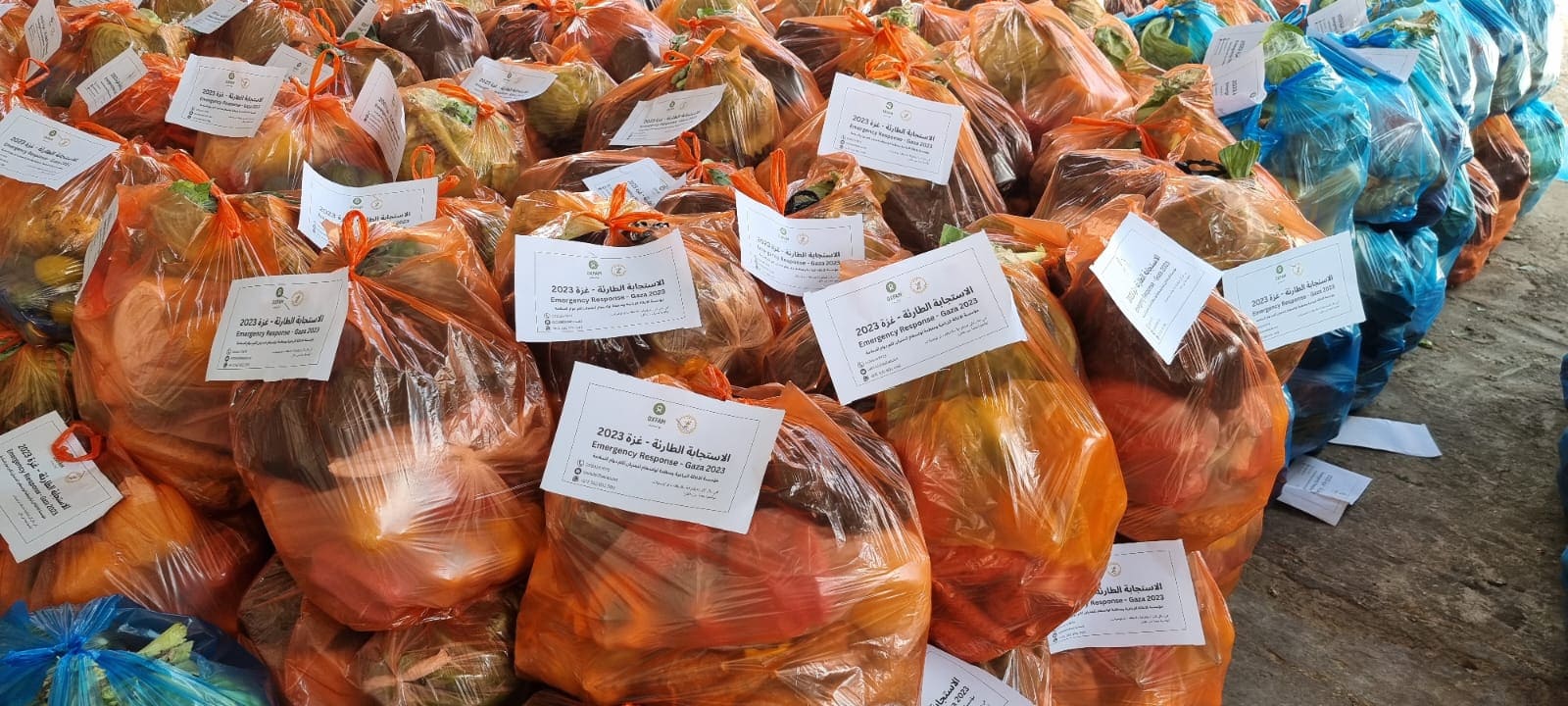 樂施會早前透過在地合作伙伴「the Palestinian Agricultural Relief Committee (PARC)」合作，向南加沙境內家庭派發蔬菜包。